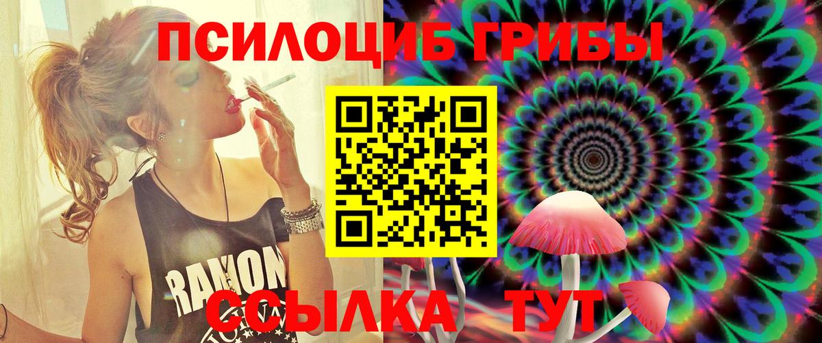 Псилоцибиновые грибы прущие грибы  Вход с VPN  Иркутск 
