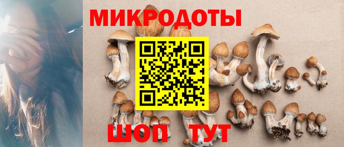 Псилоцибиновые грибы Magic Shrooms Иркутск