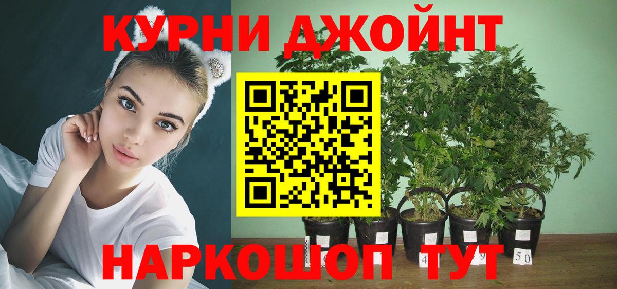 Канабис семена  Каннабис сатива  Иркутск  Шишки марихуана индика  Вход с VPN 